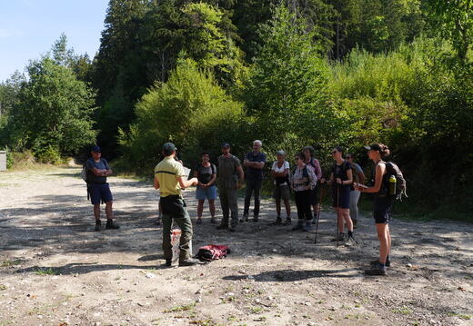 Les élus en forêt avec l'ONF